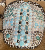 Turtle shell with Amazonite