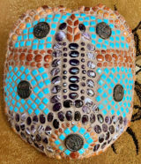 Turtle shell with Raku