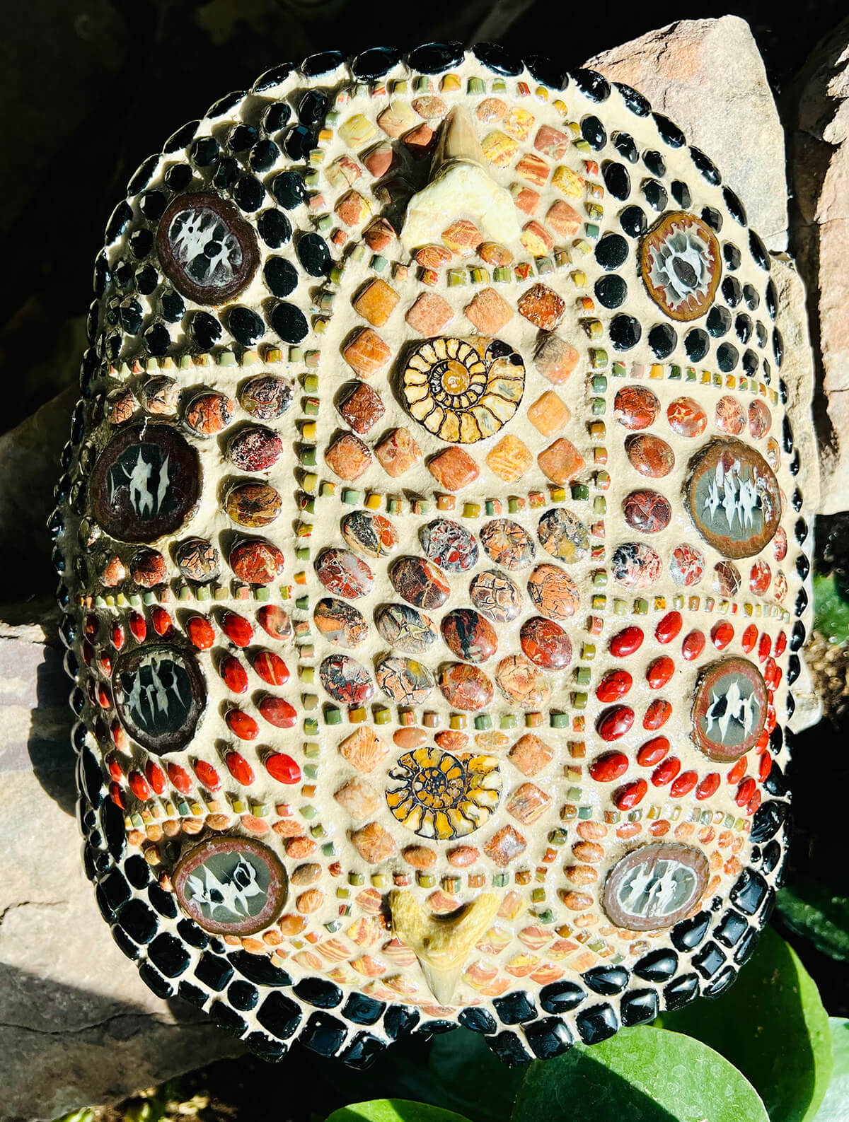 Turtle shell with fossils