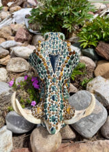 Warthog skull with hand-knapped green obsidian arrowhead