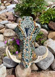 Warthog skull with green obsidian handknapped arrowhead