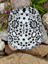 Turtle shell with obsidian and white jade